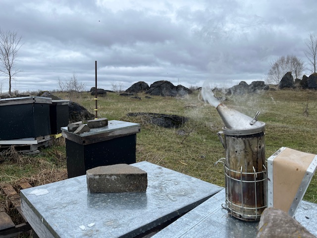 Queen bee breeding apiary on a cloudy day, Ottawa Valley