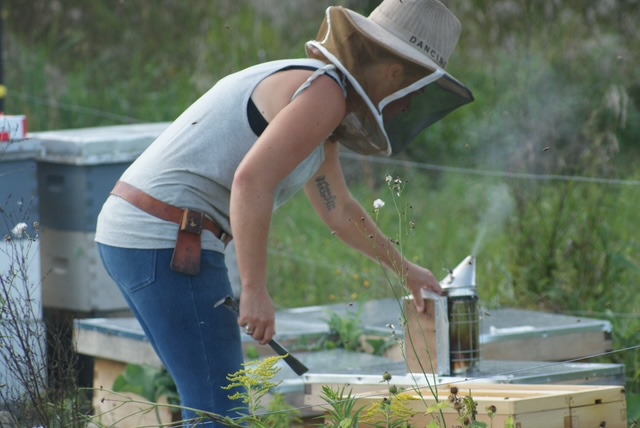 Beekeeper with smoker tool at hive