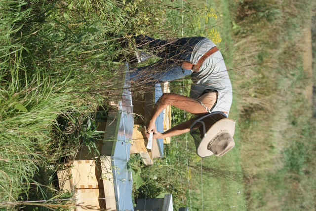 Working the hive at Ottawa Valley apiary